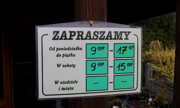 Drzewa i krzewy ozdobne Wręczyca Wielka — realizacja